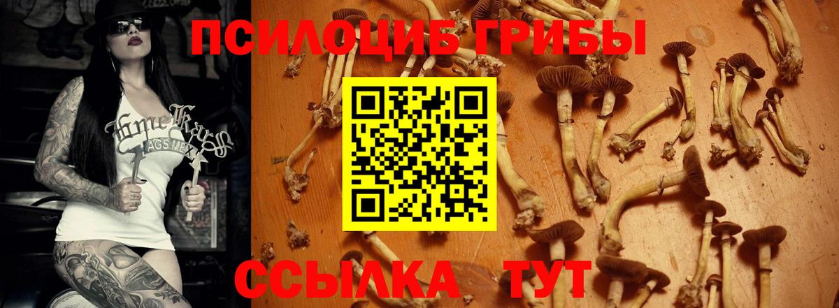 Псилоцибиновые грибы Magic Shrooms Рославль