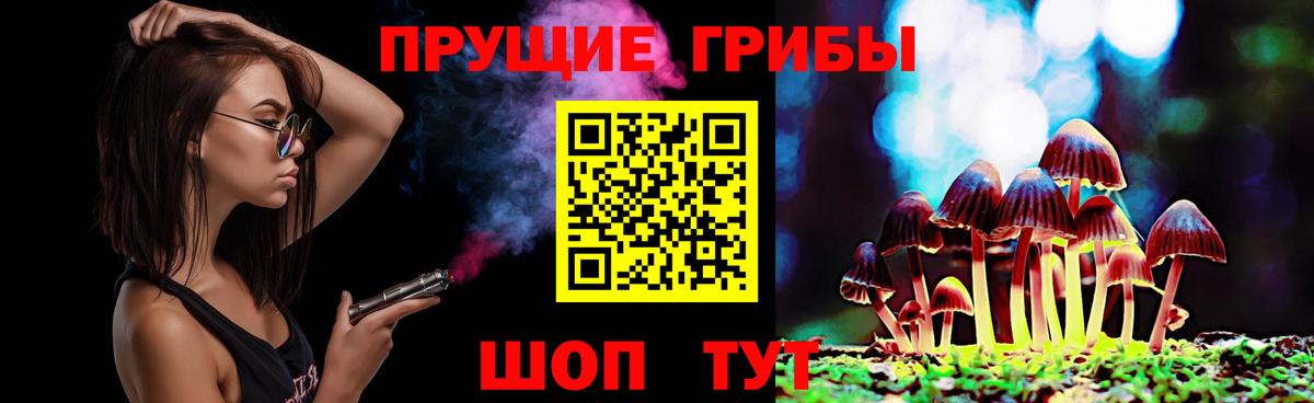 Рославль  где купить наркоту  Вход с VPN  Галлюциногенные грибы Psilocybe 
